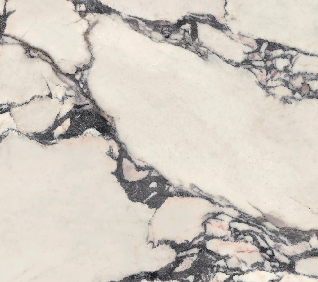 Calacatta Viola tile collection in situ